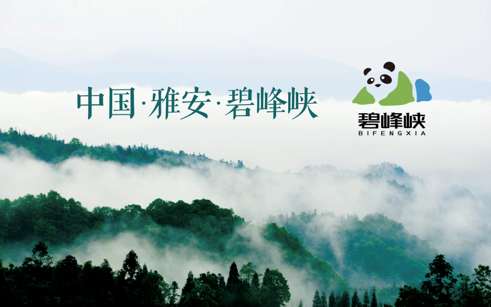 首页| 6008集团有限公司官方网站