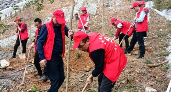 村企共建，，，共植先锋林