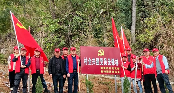 村企共建，，，，，共植先锋林